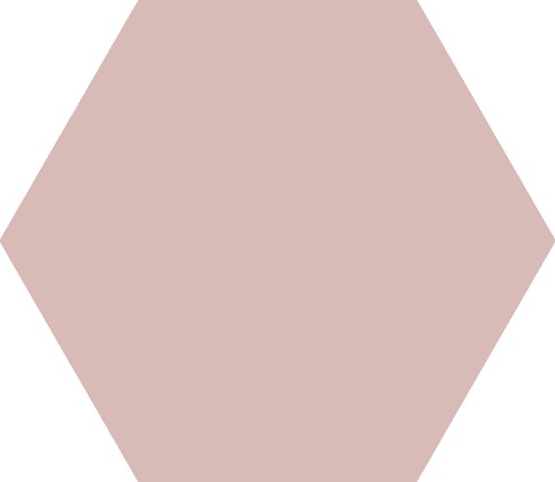 HEX25 BASIC ROSE 25X22 CV2219-main-image