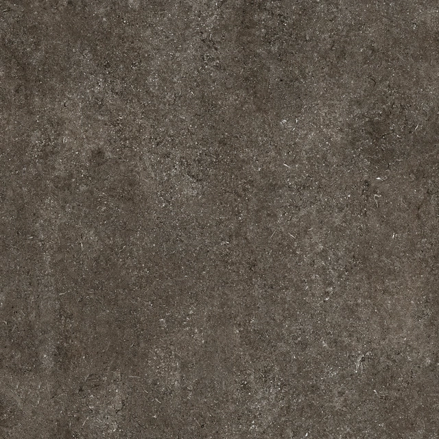 Brown Fossil 120.00x60.00cm-main-image