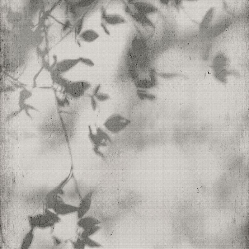 Flaviker Pisa Art walls - Shadow 60.00x120.00cm-main-image