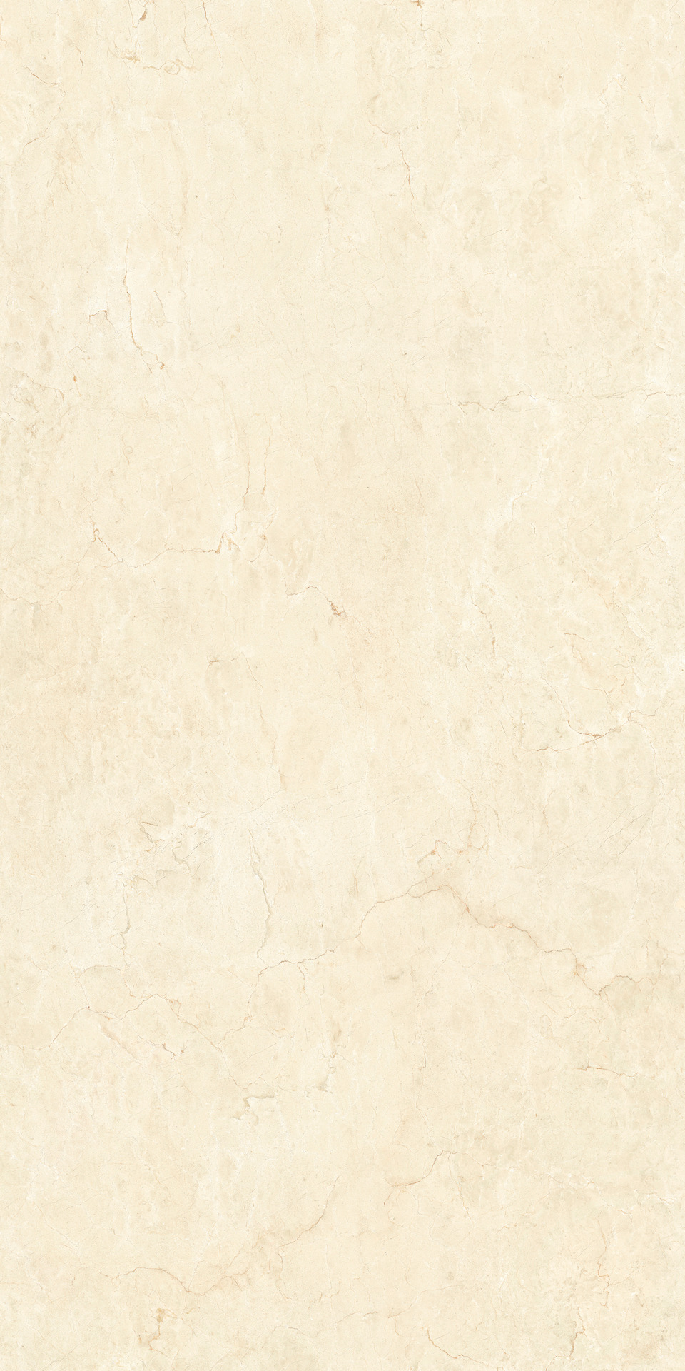 Grande Marble Look – MEU8 320.00x160.00cm-main-image