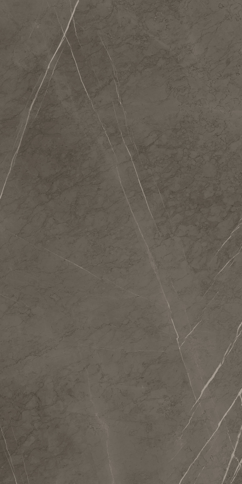 Ragno Incanto  - Incanto – R8XQ 31.00x28.10cm-main-image