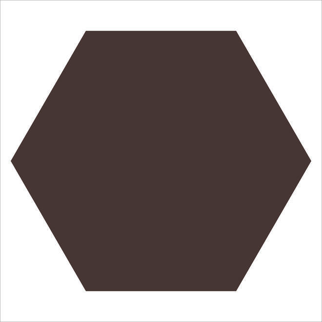 WM LOOSE 150MM HEXAGONS CHO CHOCOLATE-main-image