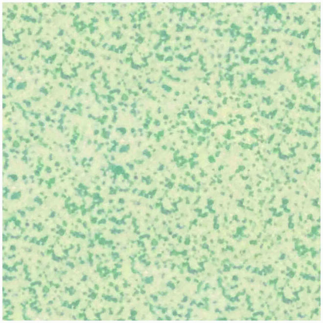 WM 20MM SQUARES 209 SPECKLED GREEN ON FIBER-main-image