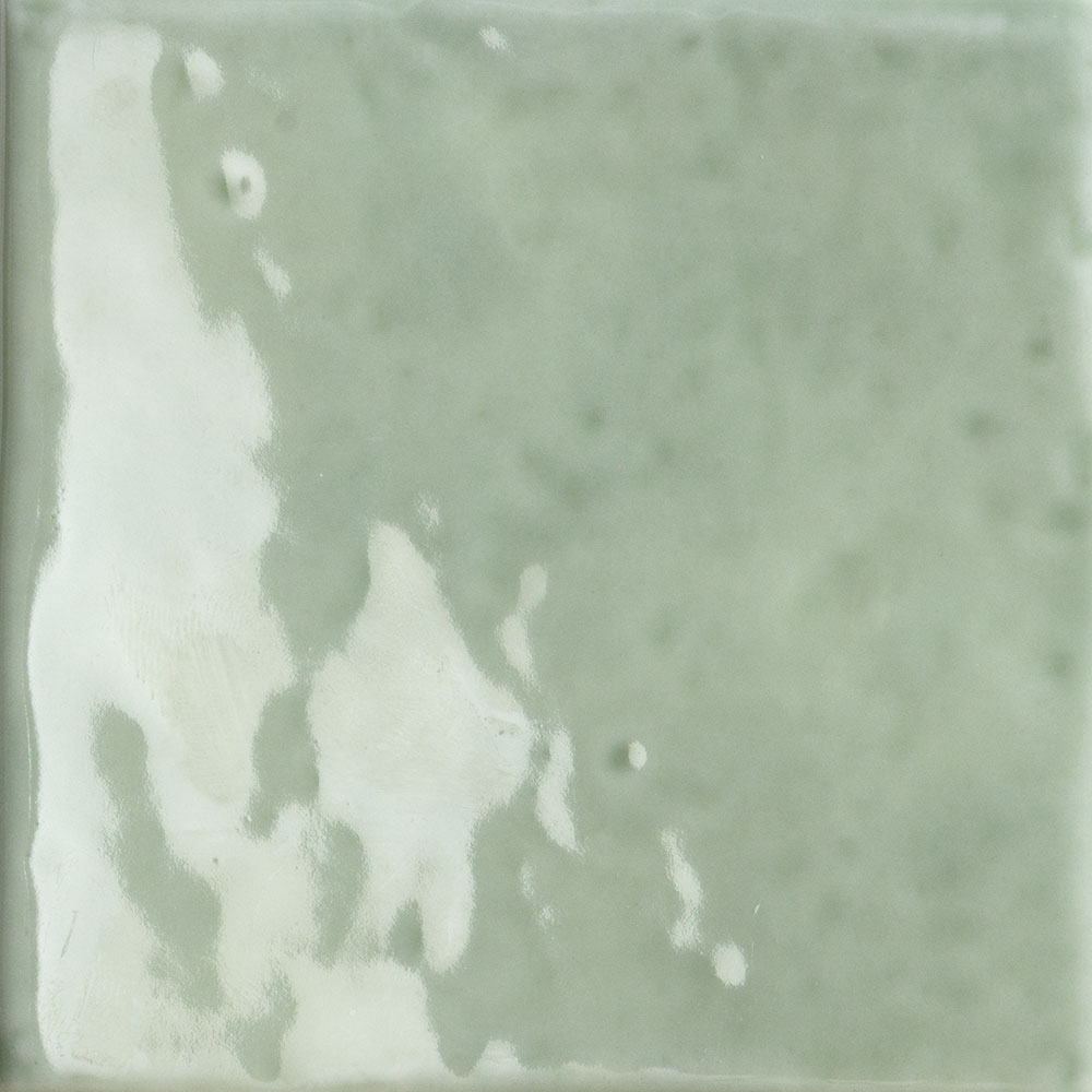Salvia 11.00x11.00cm-main-image