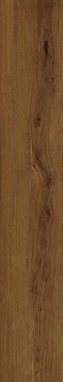 Treverklife – MQYS 120.00x20.00cm-main-image
