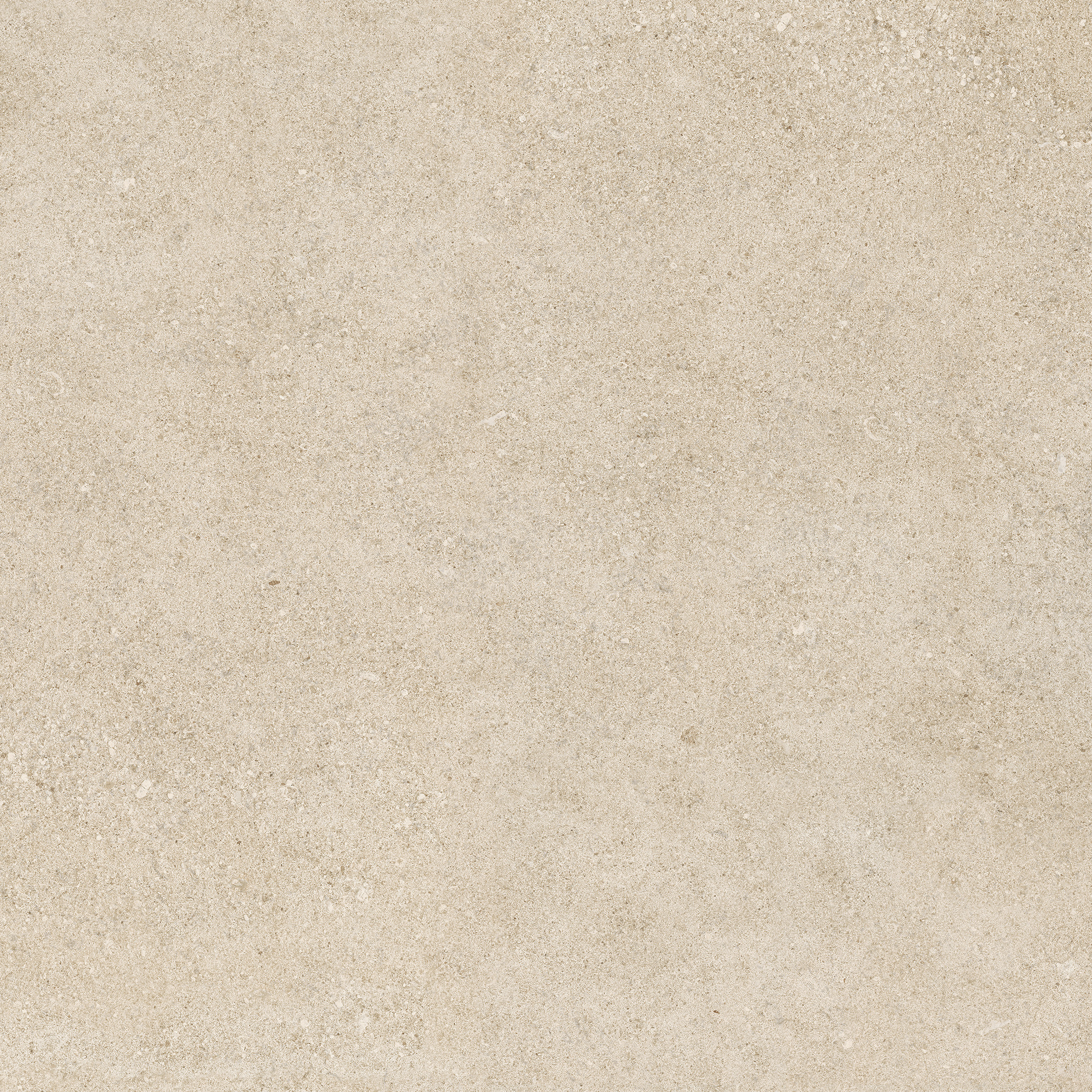 Ragno Kalkstone  - Kalkstone – RAHU 60.00x30.00cm-main-image