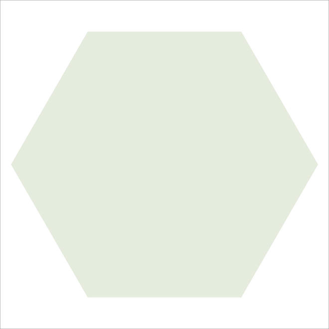 WM LOOSE 150MM HEXAGONS BAS SUPER WHITE-main-image