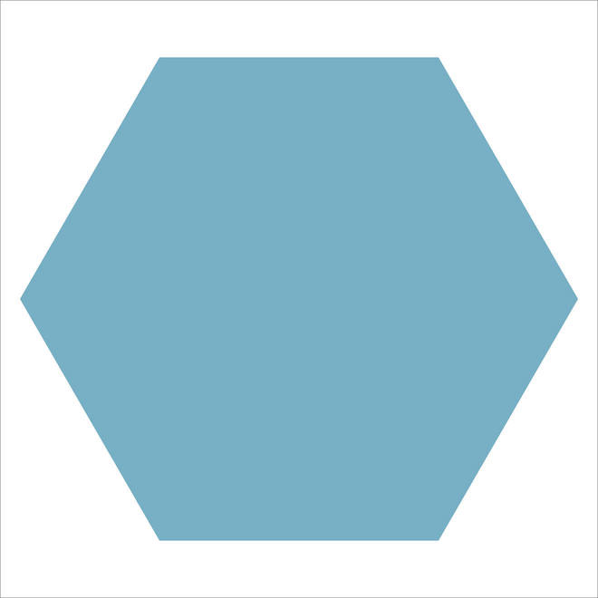 WM LOOSE 100MM HEXAGONS BEU BLUE-main-image