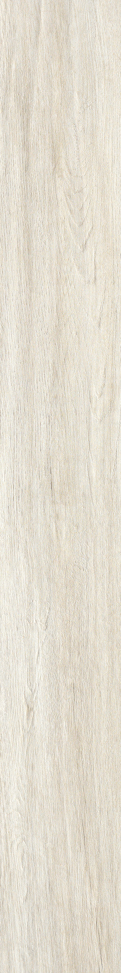 Ragno Woodliving - Woodliving – R40G 120.00x20.00cm-main-image