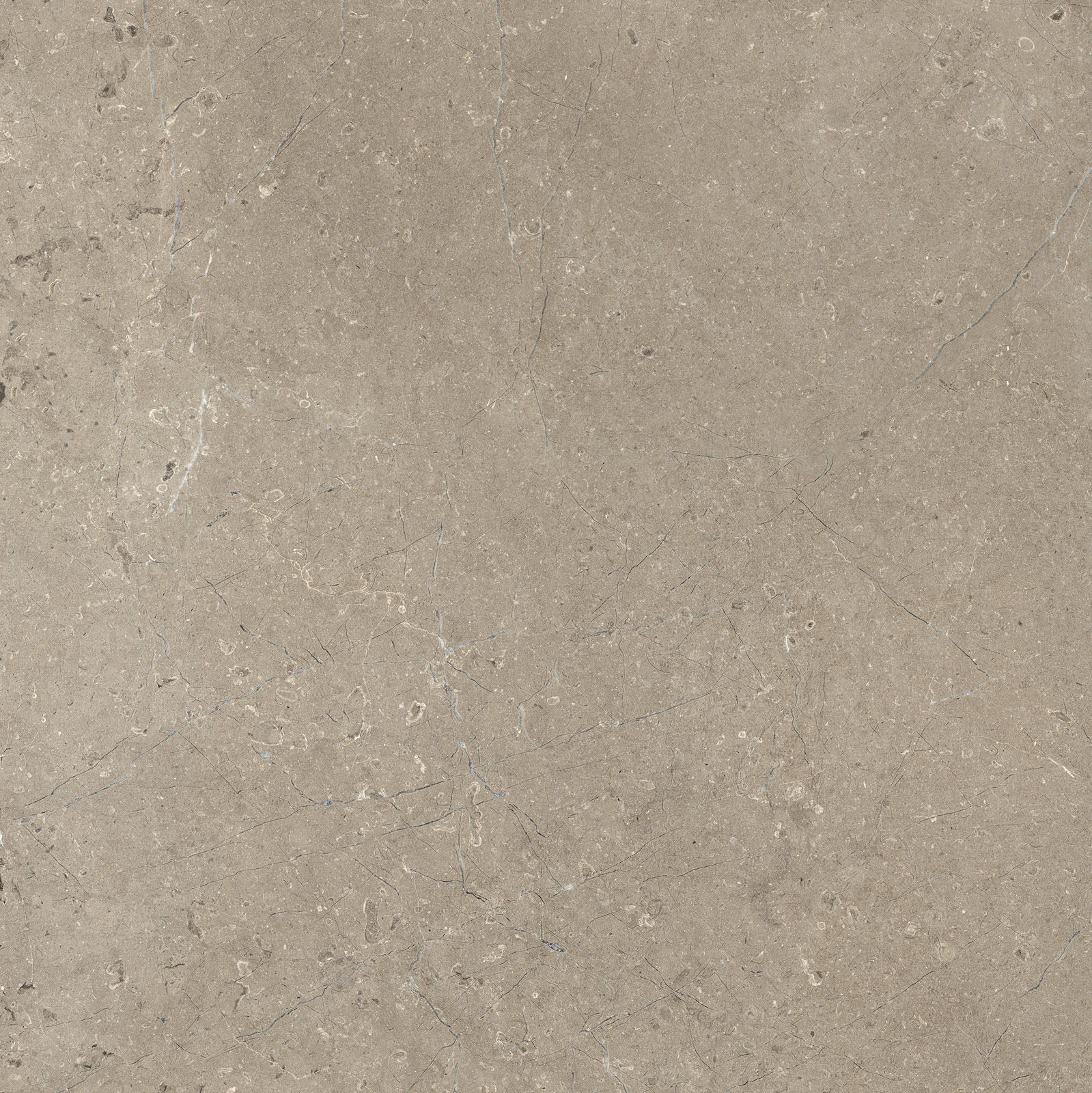 Mystone Limestone – M7EZ 60.00x30.00cm-main-image