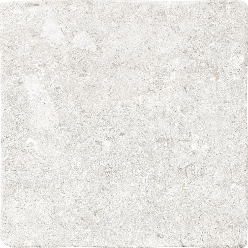 Vicentina XXS Bianco 22.00x22.00cm-main-image