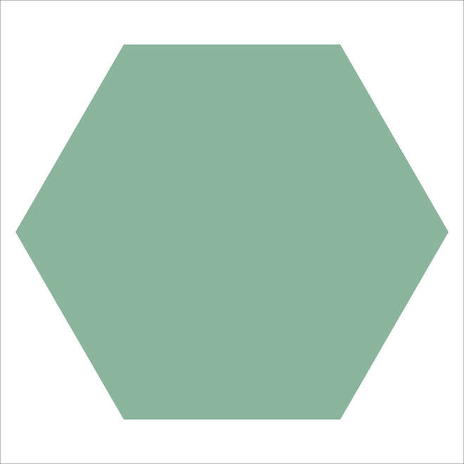 WM LOOSE 50MM HEXAGONS VEP PALE GREEN-main-image