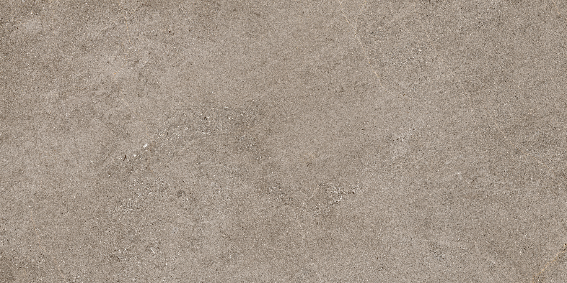 Naturalia – MEVE 120.00x60.00cm-main-image