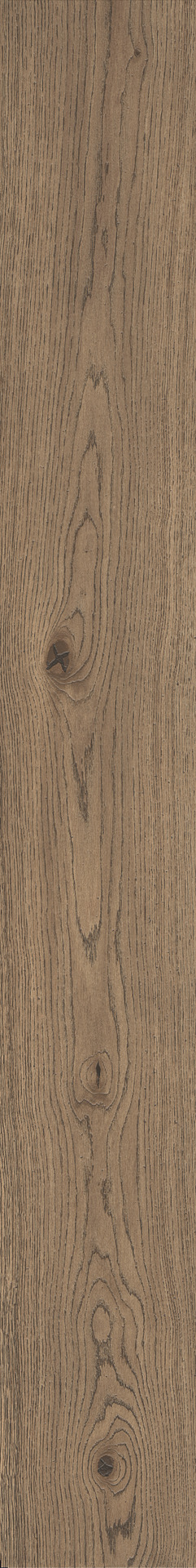 Vivo – MMD6 54.00x11.00cm-main-image