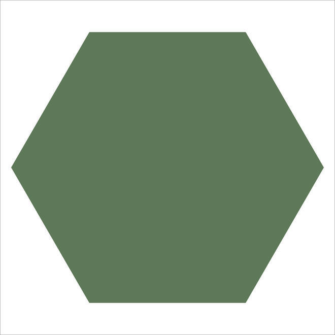 WM LOOSE 150MM HEXAGONS VEA AUSTRALIAN GREEN-main-image