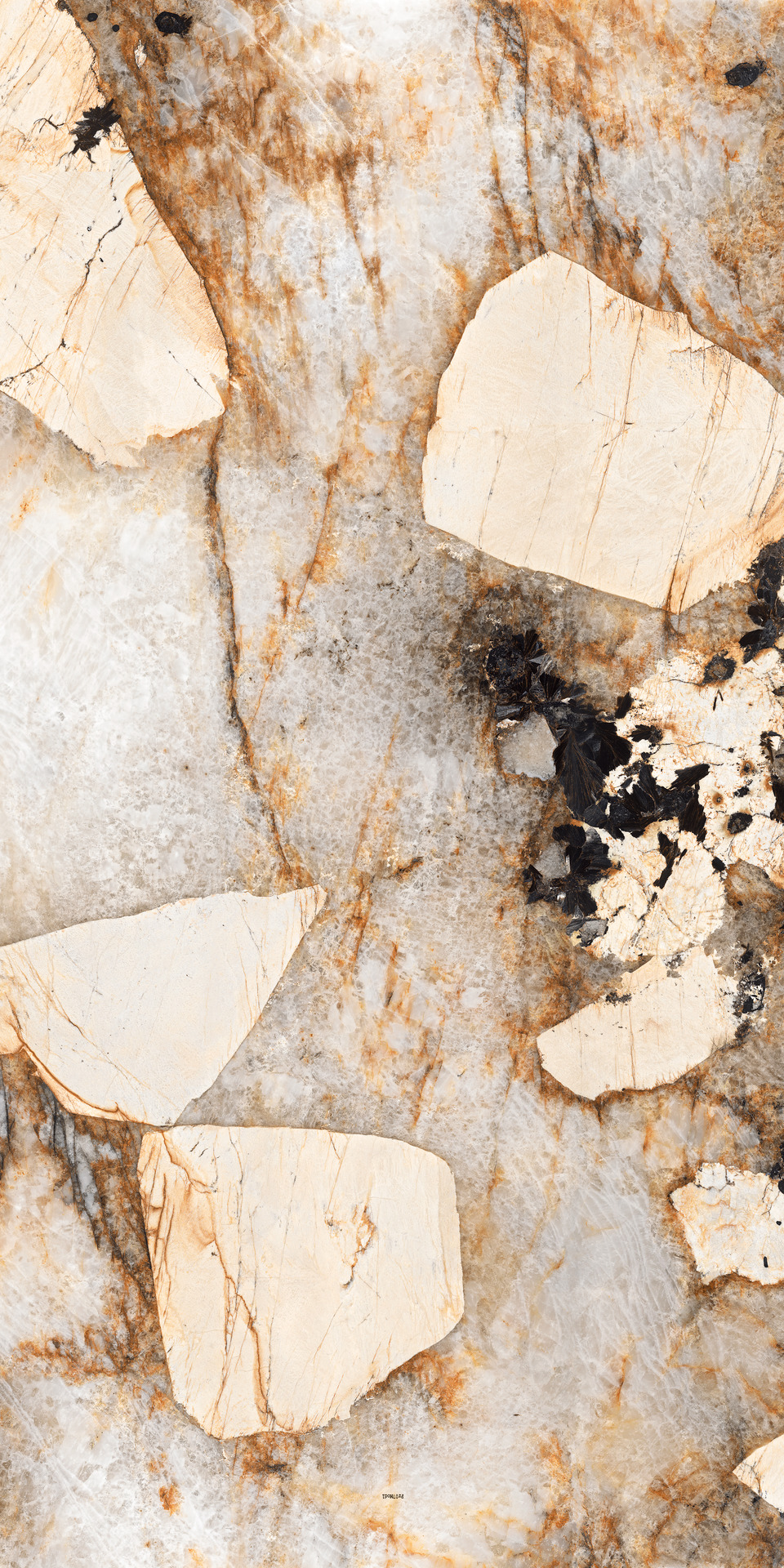 Grande Marble Look – MNG7 120.00x60.00cm-main-image