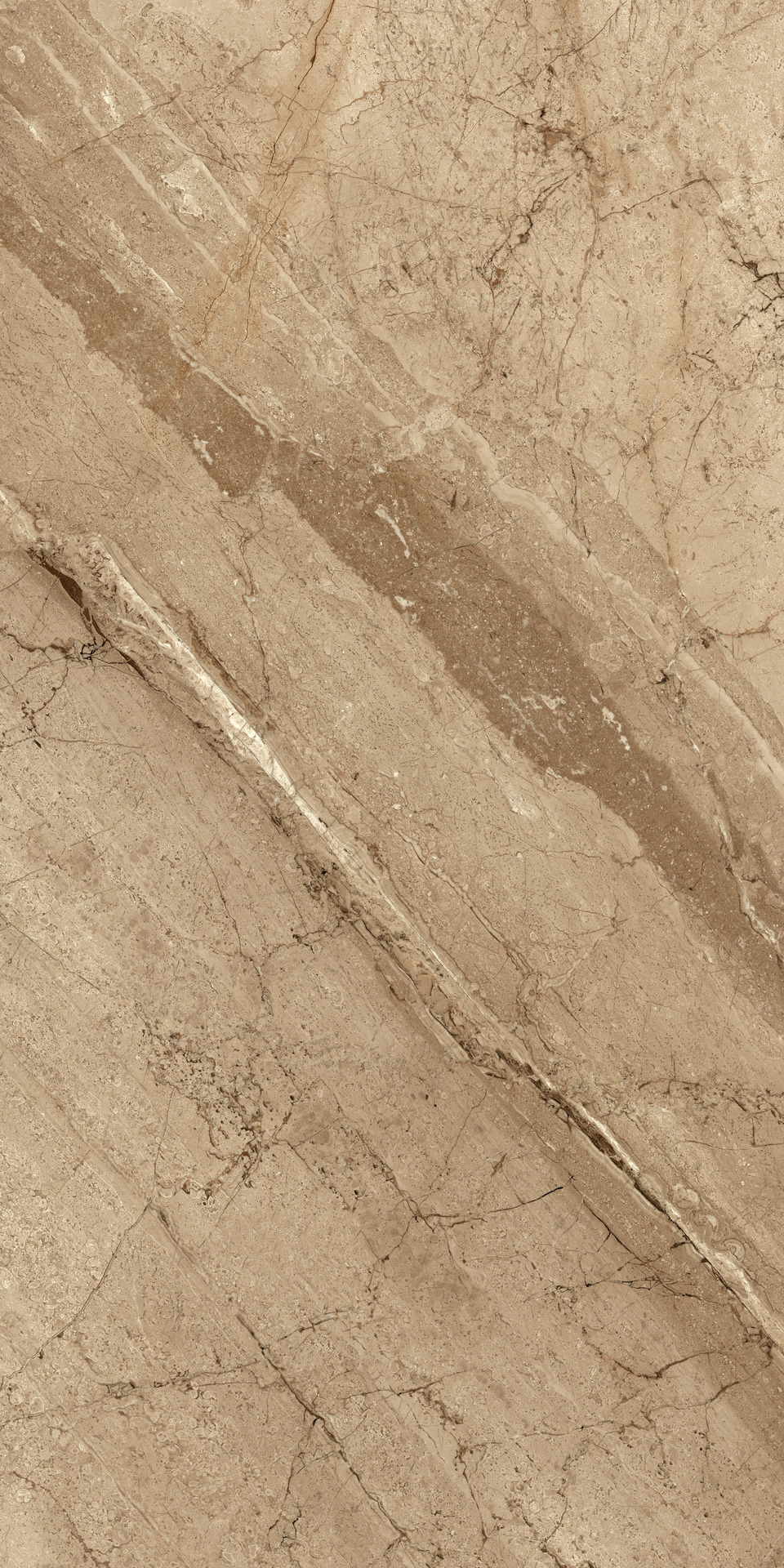 Ragno Incanto - Incanto – R8TX 120.00x60.00cm-main-image