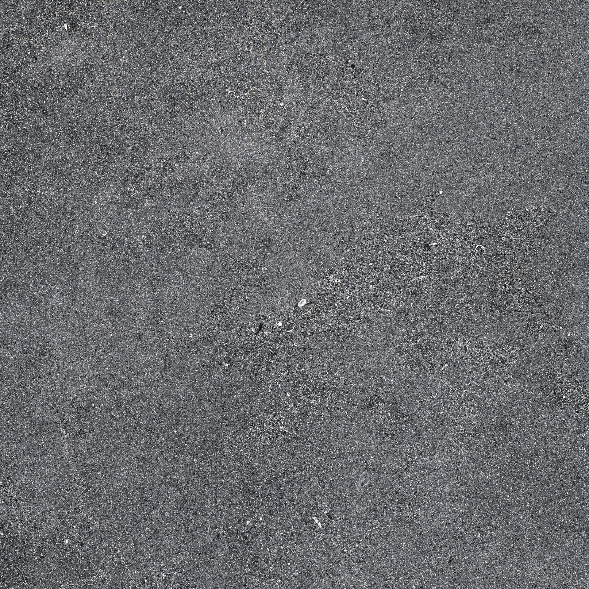 Naturalia – MF6Z 120.00x60.00cm-main-image