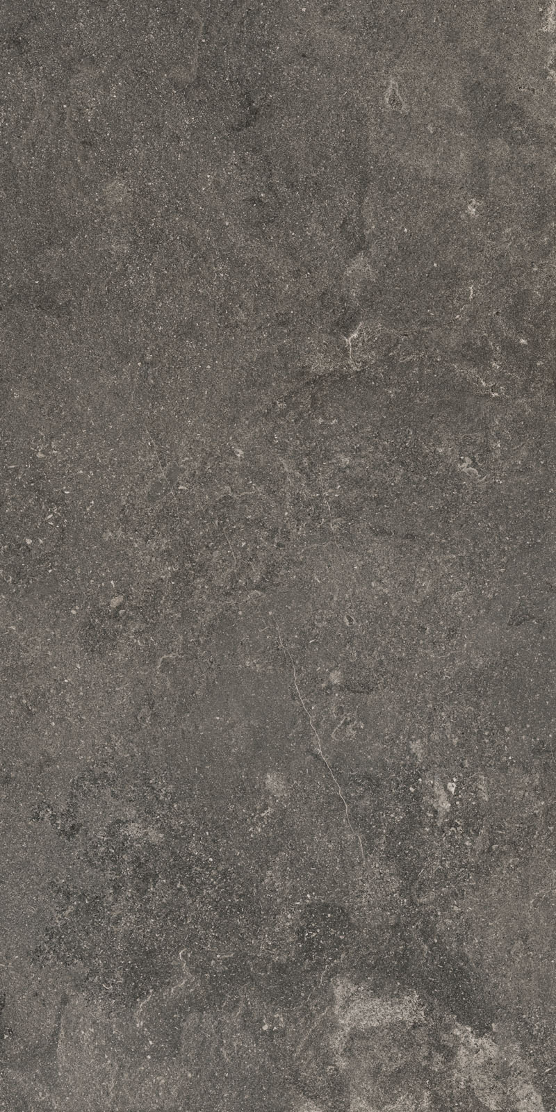 Ragno Realstone_Lunar - Realstone_Lunar – R7AU 60.00x30.00cm-main-image
