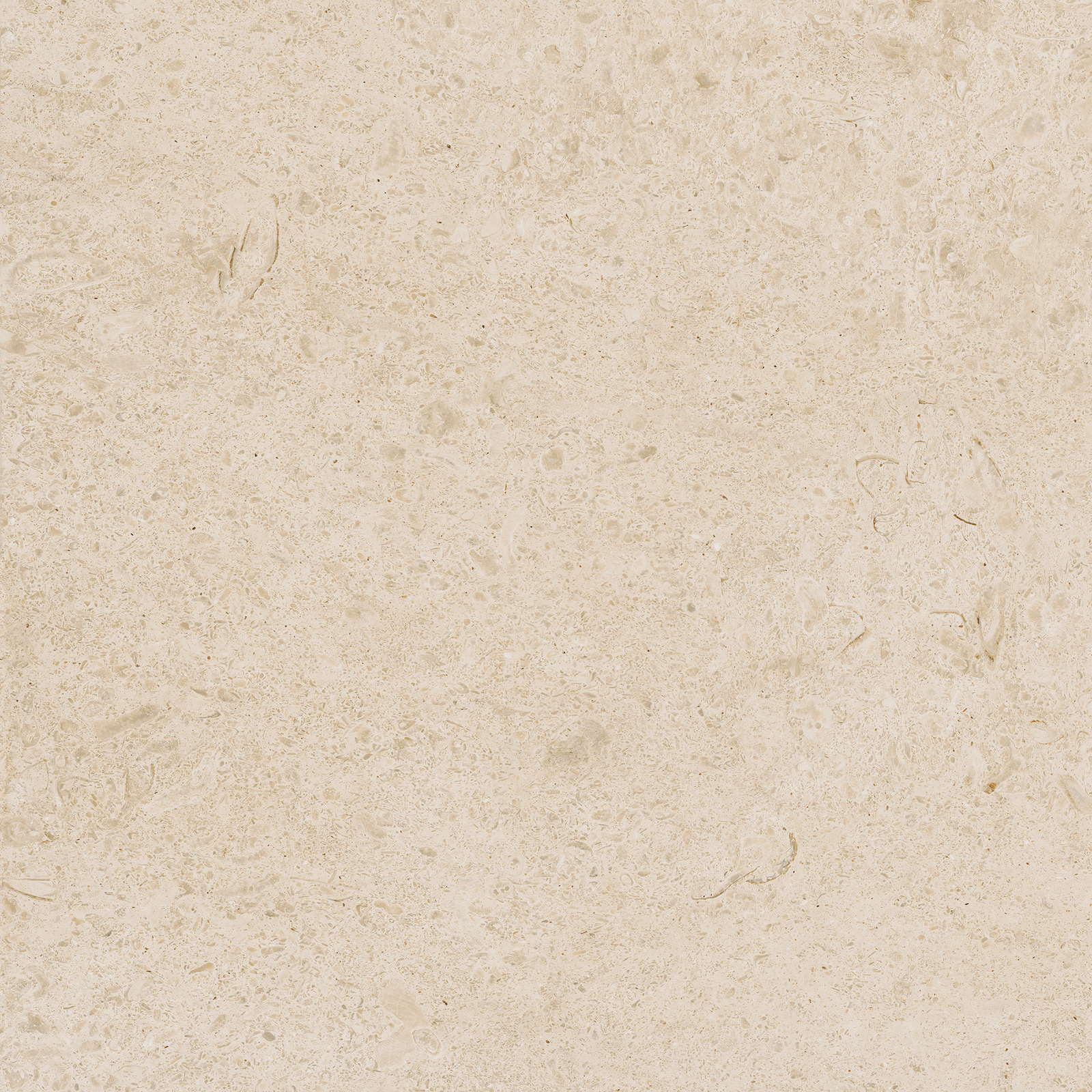 Carácter – M97G 60.00x30.00cm-main-image
