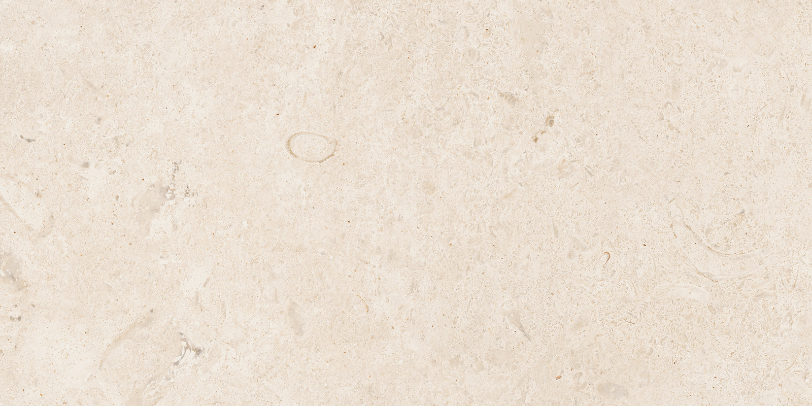 Carácter – M97N 60.00x60.00cm-main-image