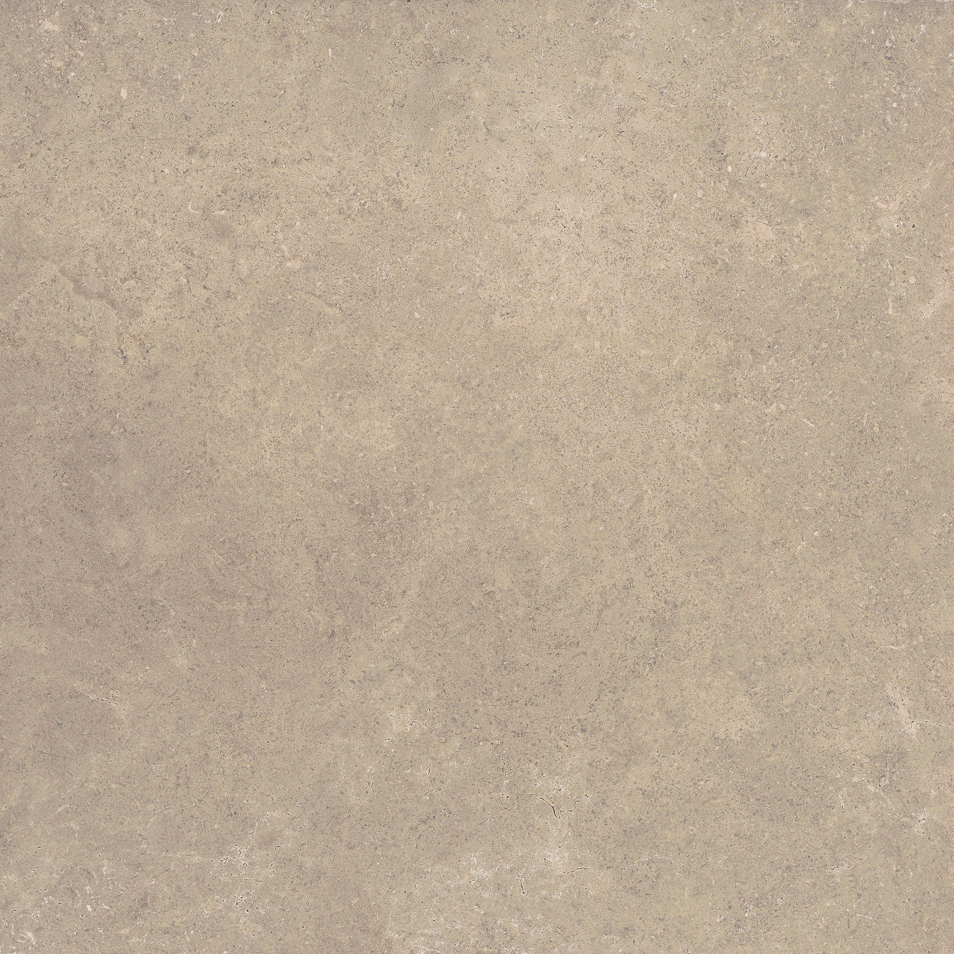 Ragno Creek - Creek – R4EH 76.00x25.00cm-main-image