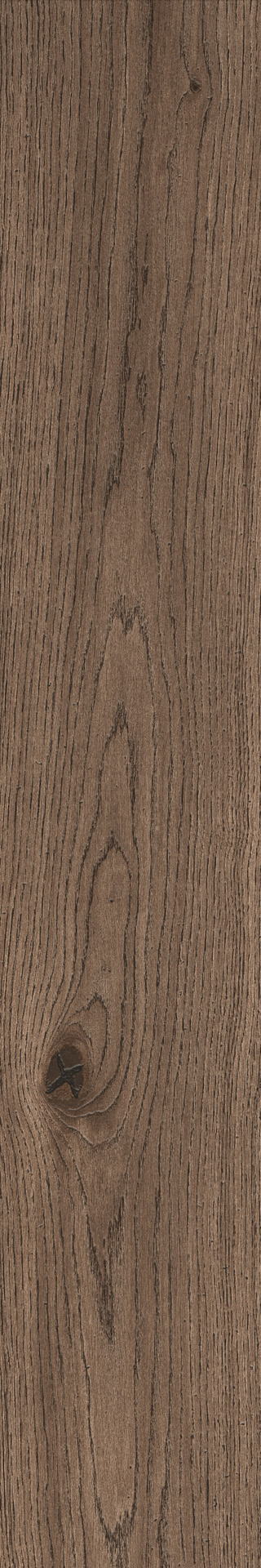 Vivo – MMDK 54.00x11.00cm-main-image