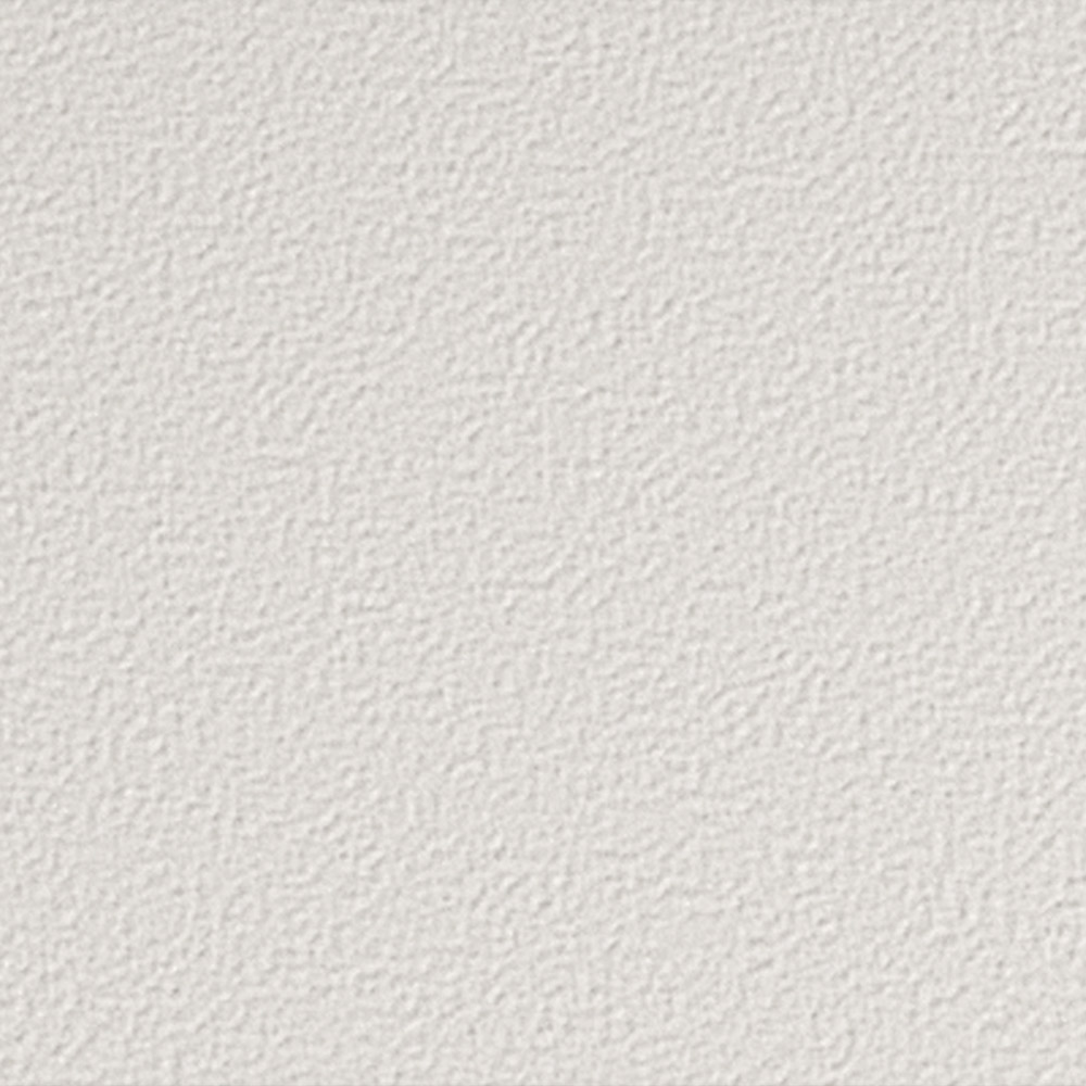 Equus Field Dressage White 28.00x9.00cm-main-image