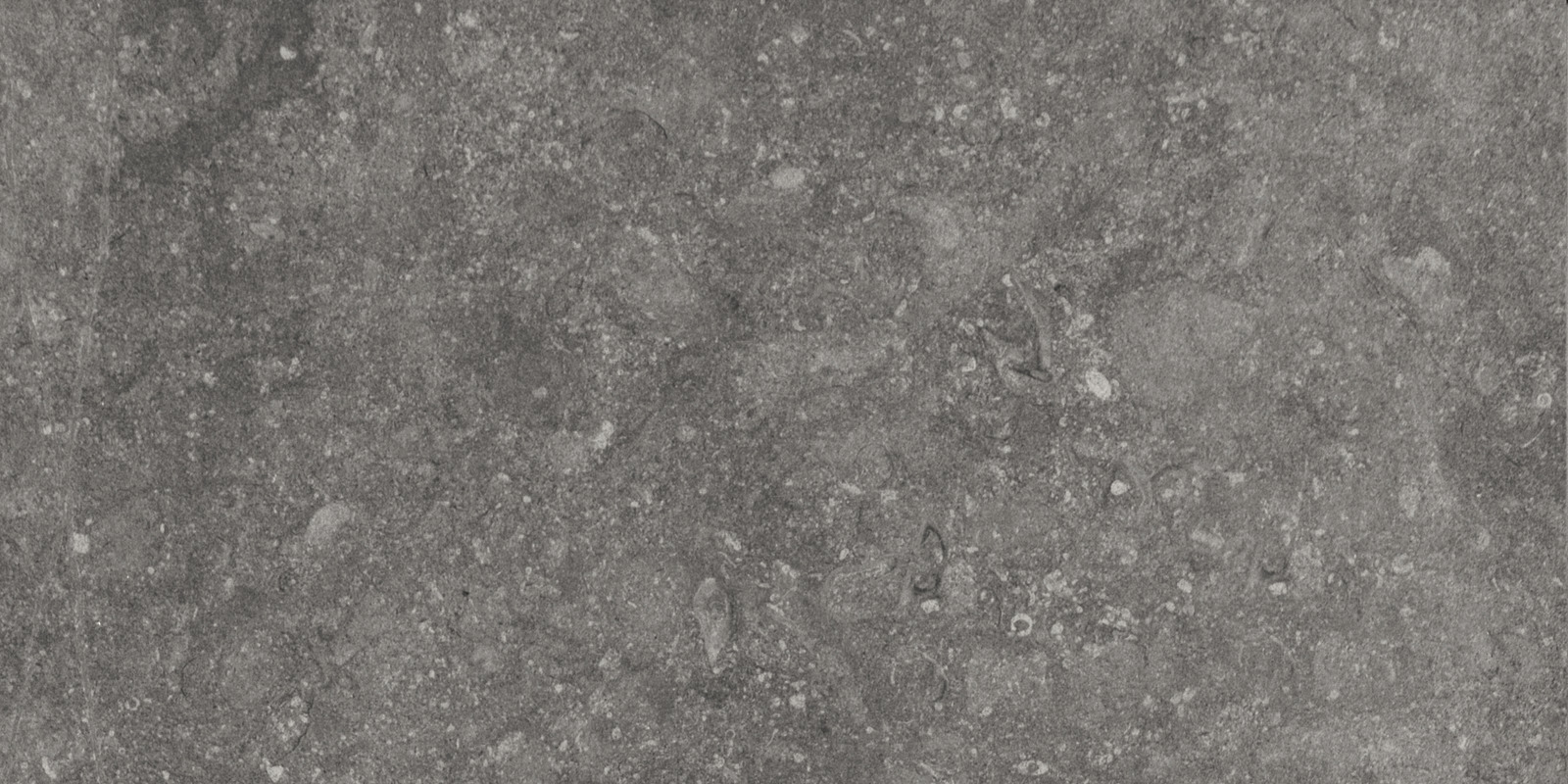 Mystone Bluestone – M060 120.00x60.00cm-main-image