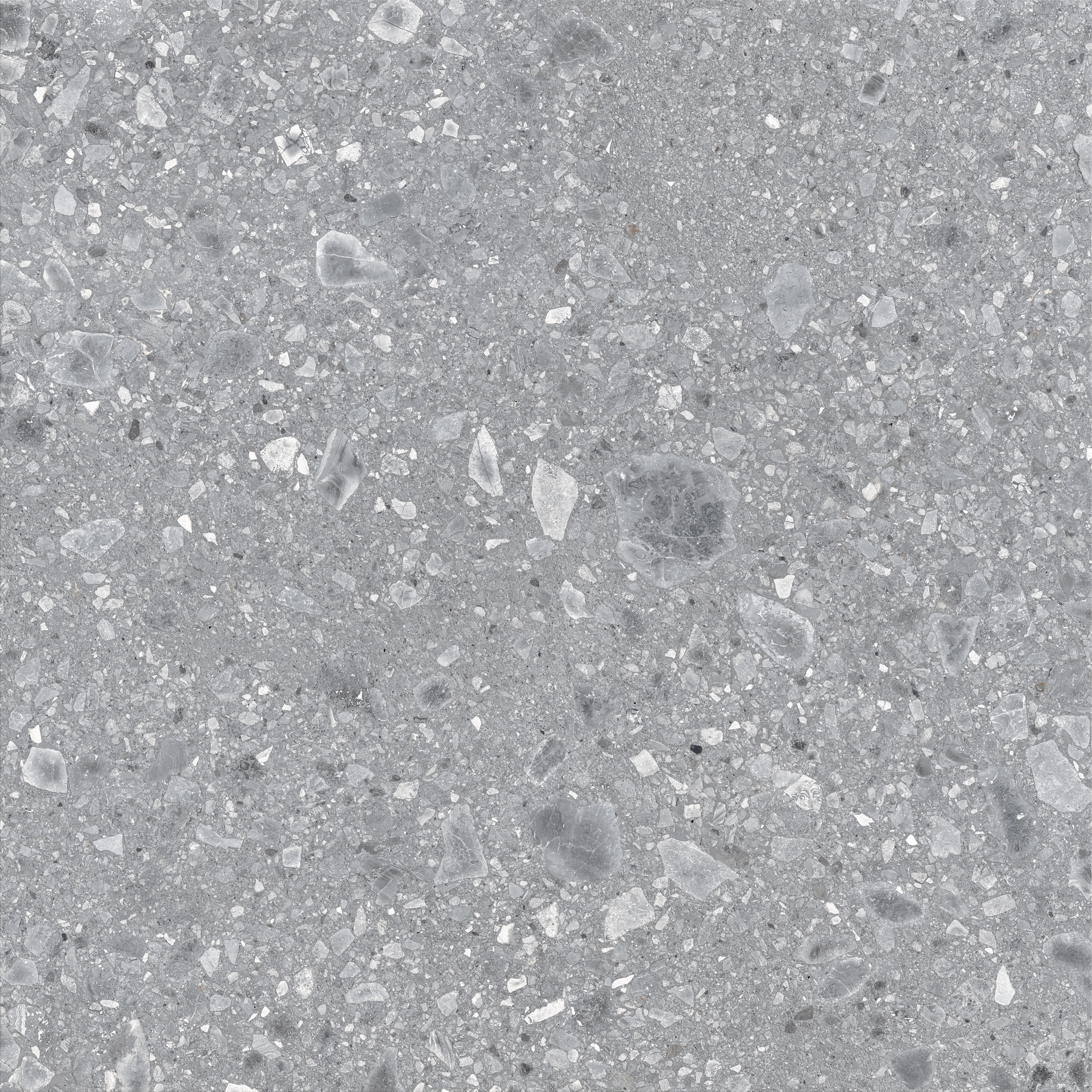 Ragno Realstone_Ceppo - Realstone_Ceppo – RCWS 120.00x120.00cm-main-image