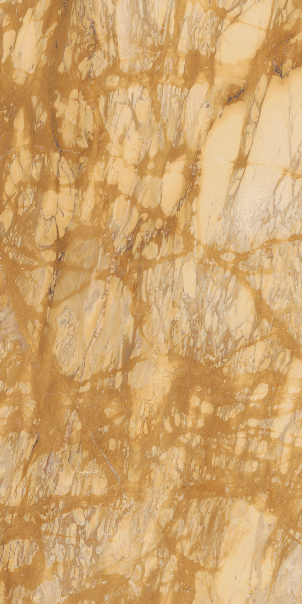 Grande Marble Look – MEQ9 120.00x60.00cm-main-image