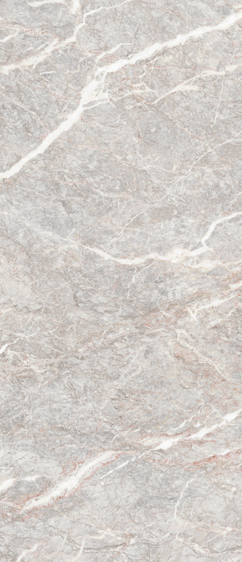 Grande Marble Look – MENZ 120.00x120.00cm-main-image