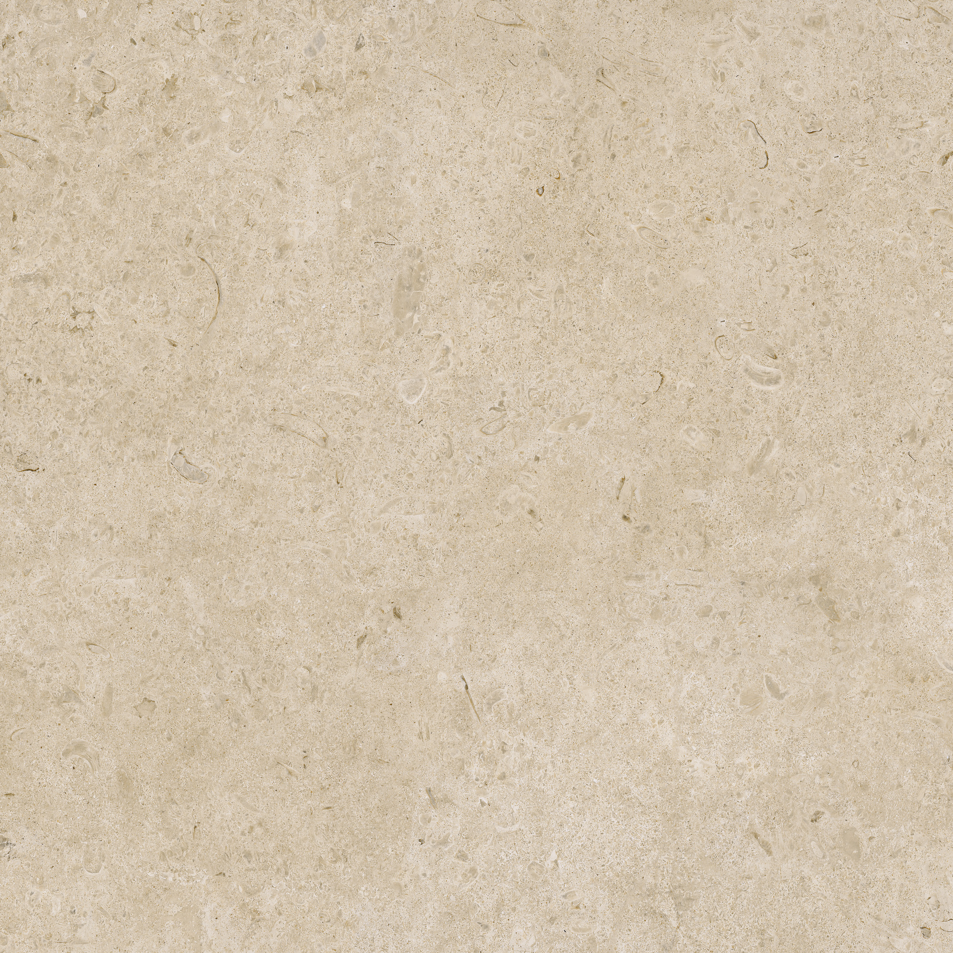 Carácter – MDDS 90.00x30.00cm-main-image