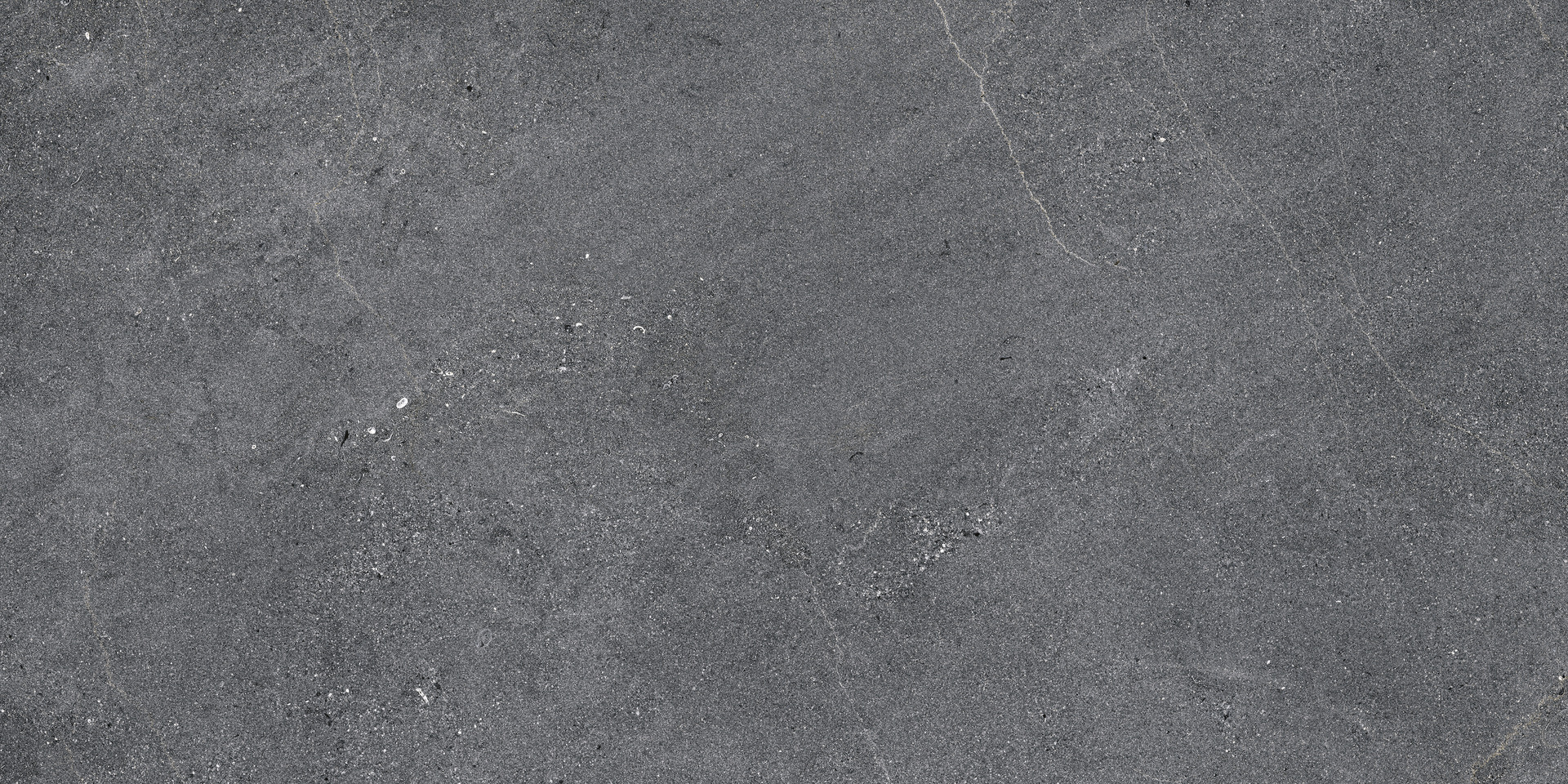 Naturalia – MEVG 100.00x33.00cm-main-image
