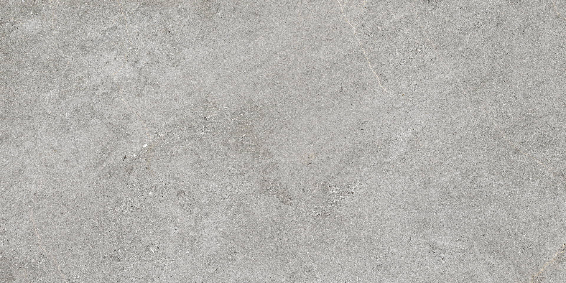 Naturalia – MEVF 100.00x33.00cm-main-image
