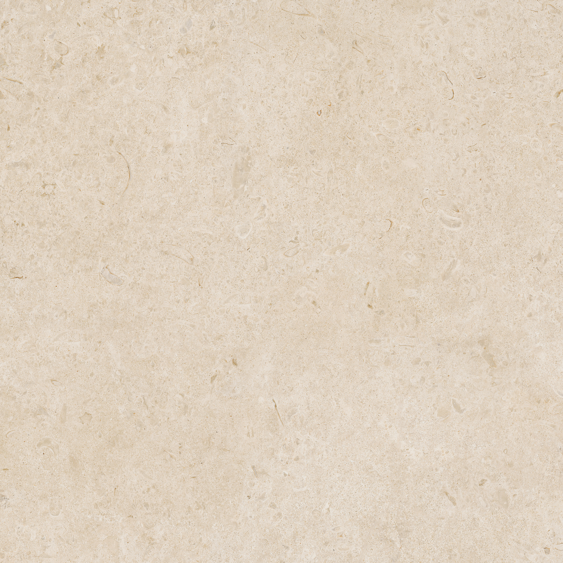 Carácter – MDRS 60.00x30.00cm-main-image