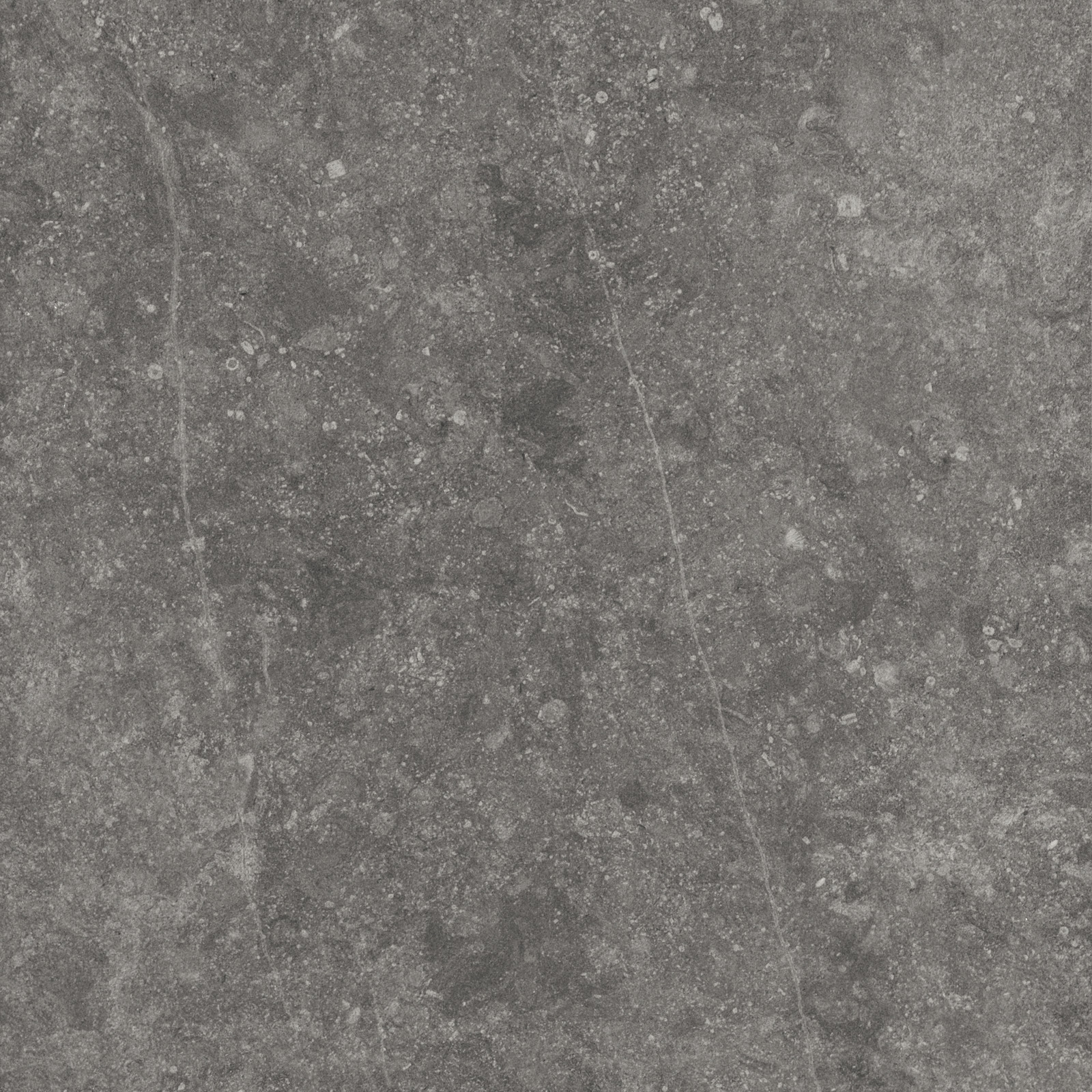 Mystone Bluestone – M03Q 100.00x50.00cm-main-image