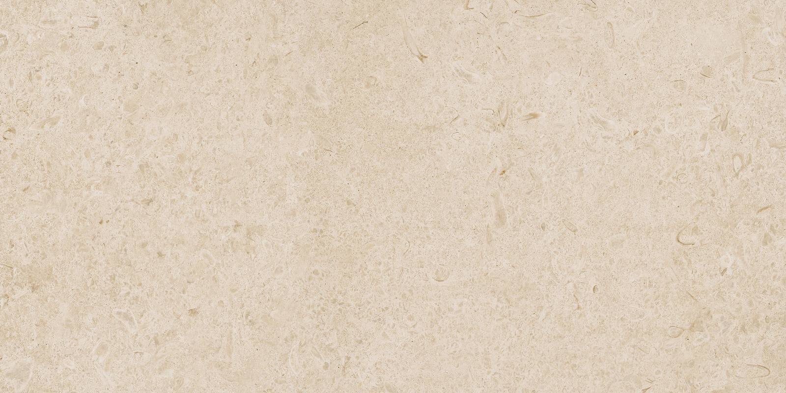 Ragno Eterna - Eterna – R8JL 90.00x30.00cm-main-image