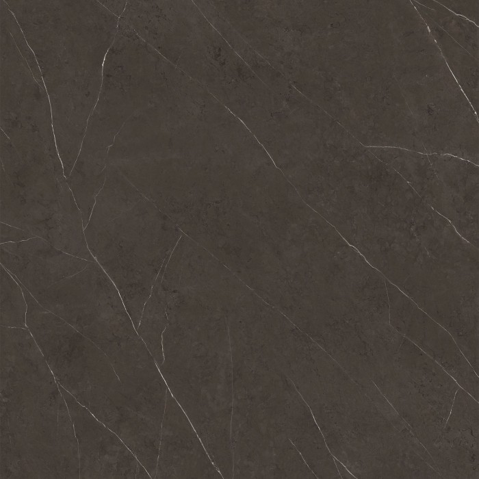 Liem dark polished-main-image