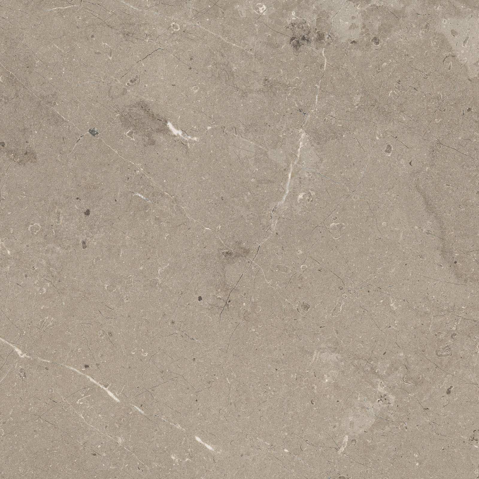 Mystone Limestone – M7E9 120.00x120.00cm-main-image
