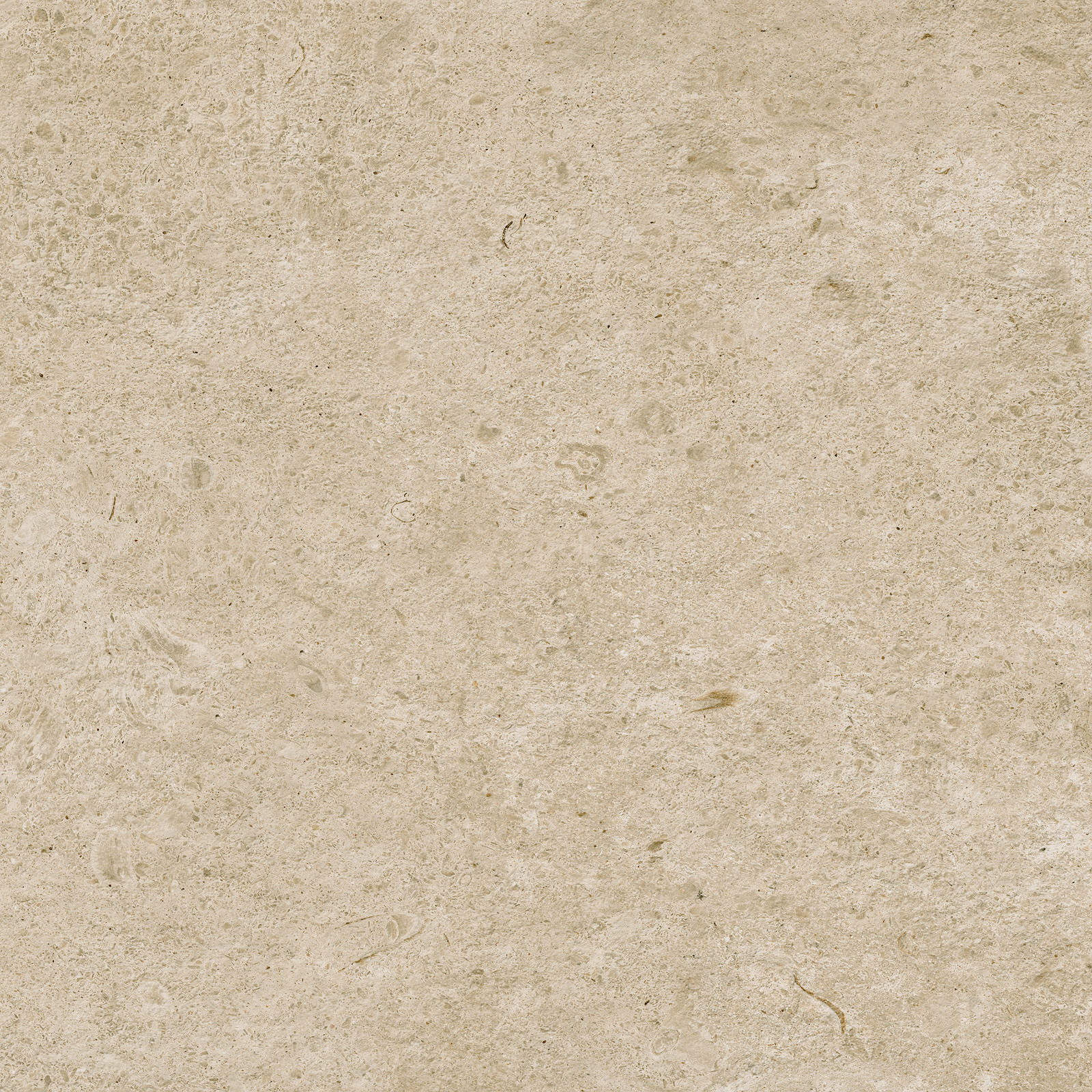 Carácter – M984 60.00x30.00cm-main-image