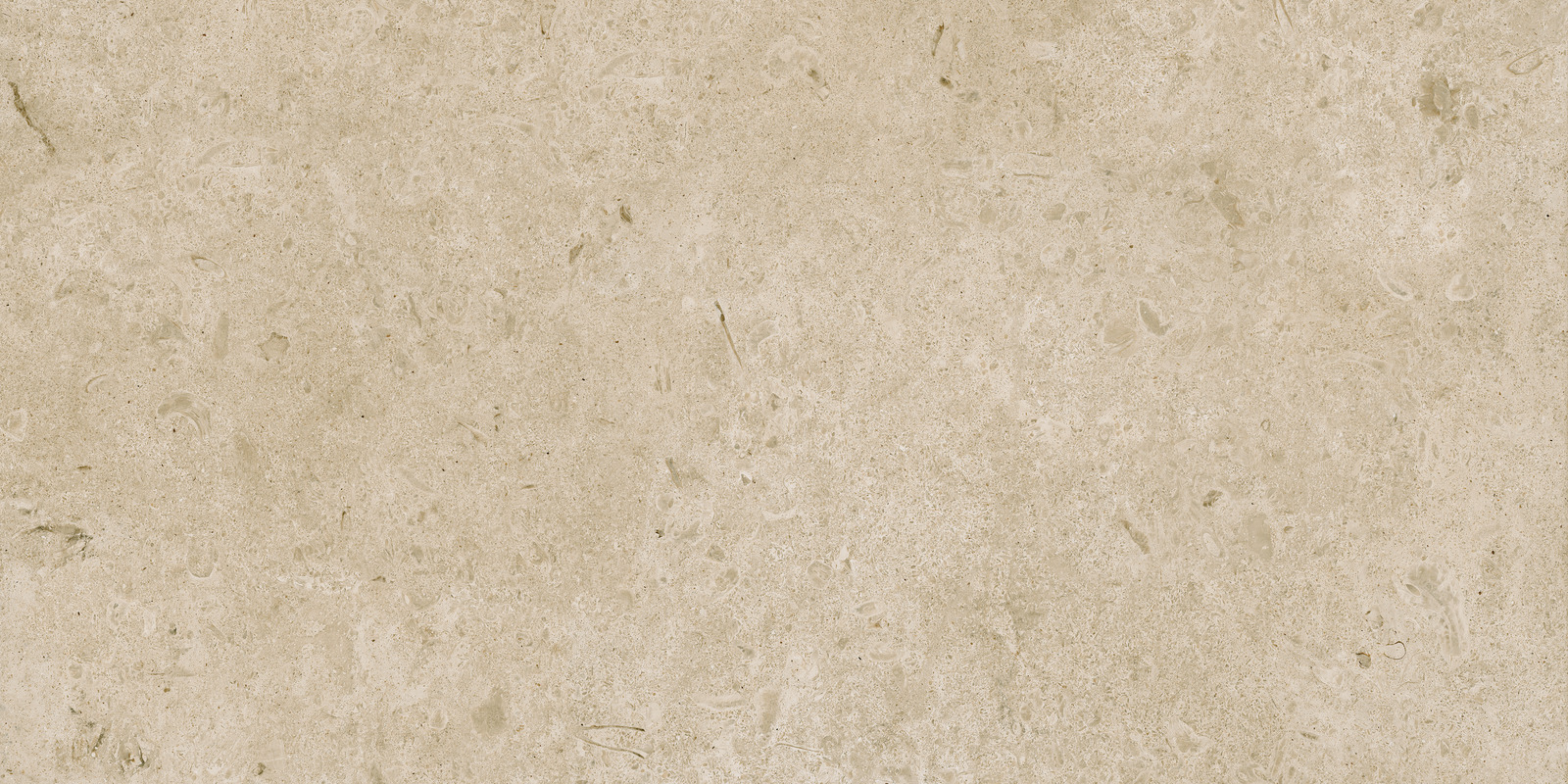 Carácter – M979 100.00x100.00cm-main-image