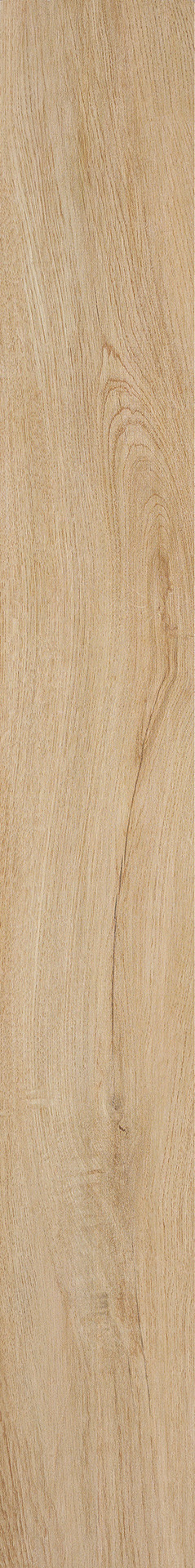 Ragno Woodliving - Woodliving – R40L 120.00x40.00cm-main-image