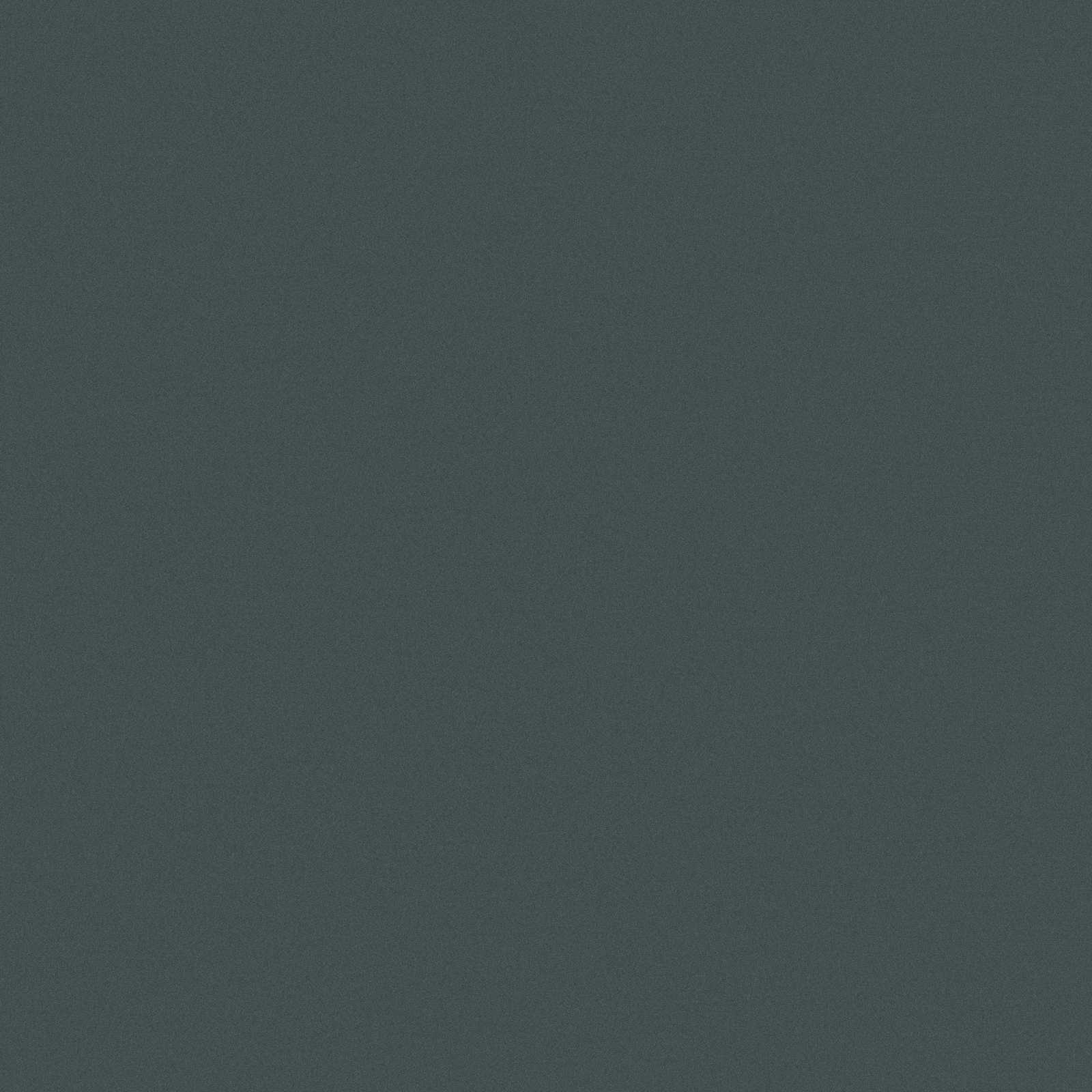 D Segni – M2JG 20.00x20.00cm-main-image