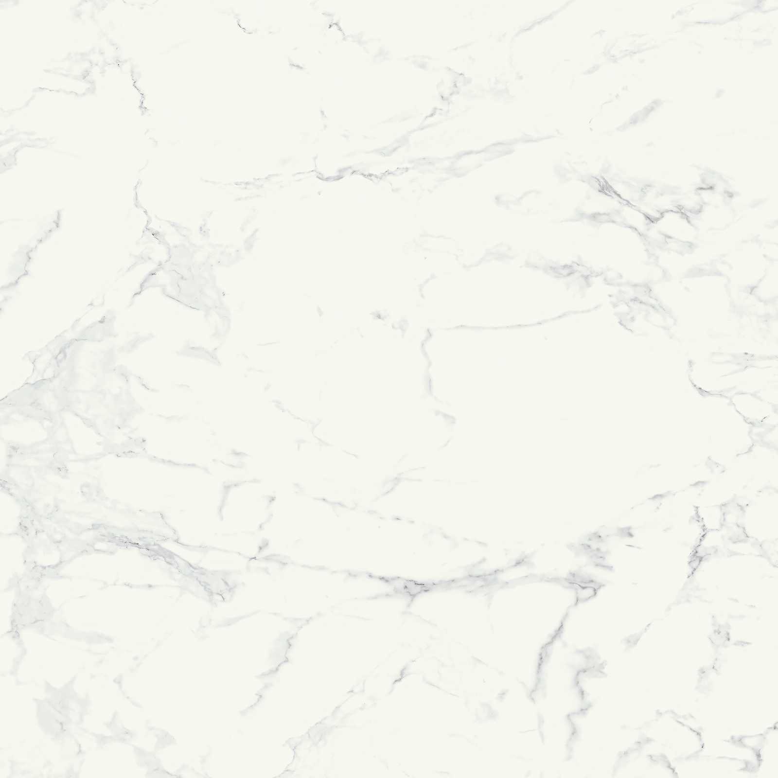 Ragno Imperiale - Imperiale – R738 116.00x58.00cm-main-image