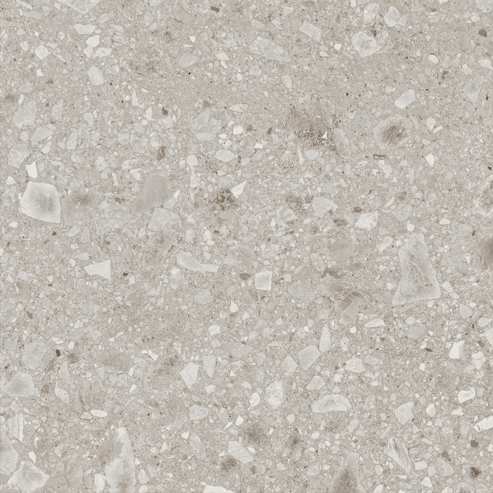 Ragno Realstone_Ceppo  - Realstone_Ceppo – RCXE 120.00x60.00cm-main-image