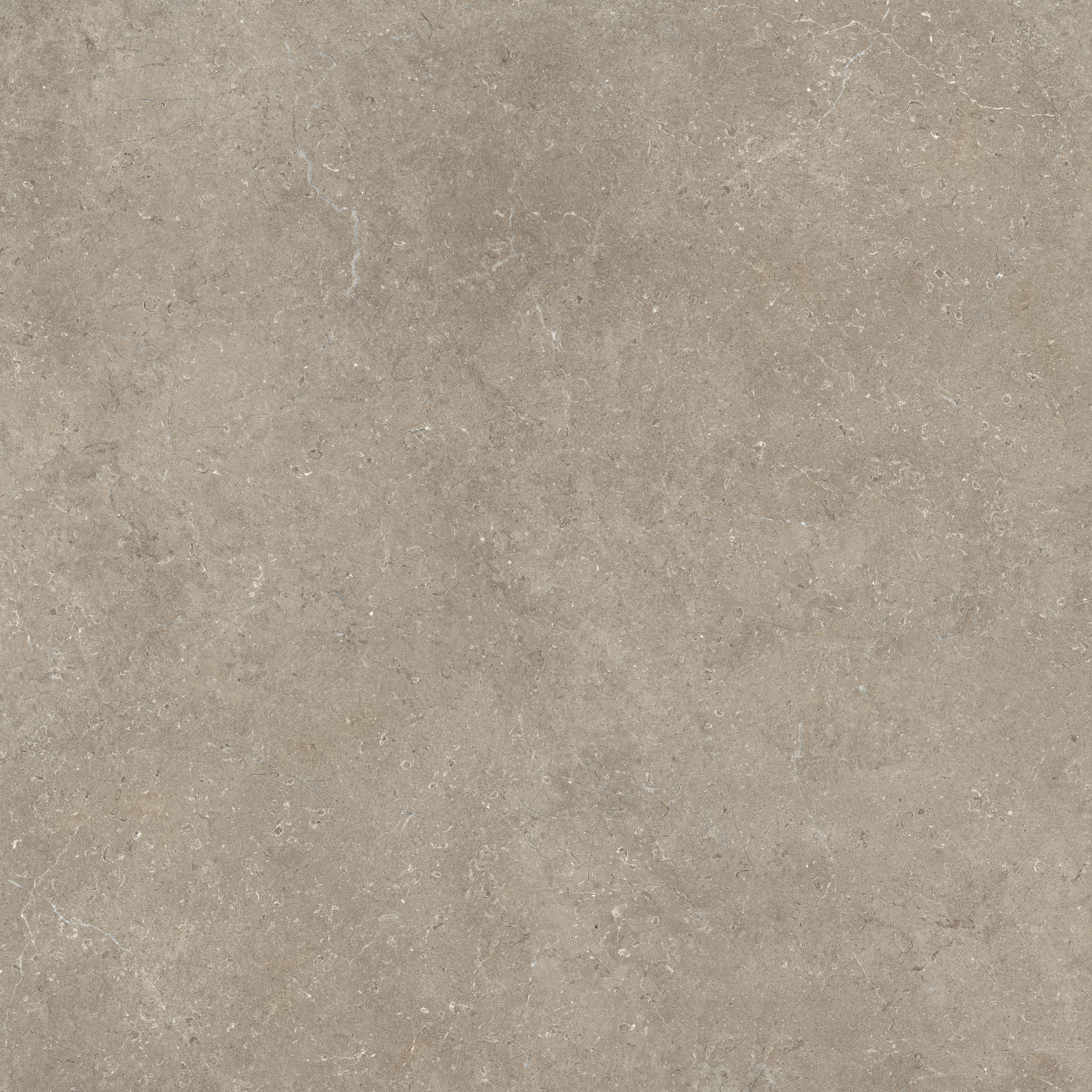 Mystone Limestone – M909 120.00x120.00cm-main-image