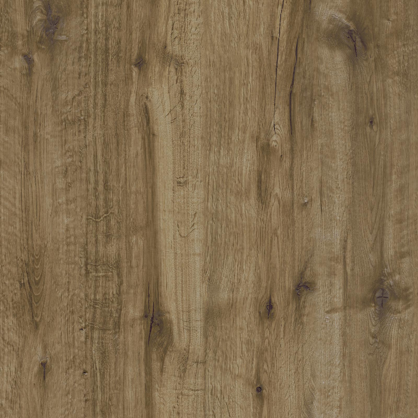 Ragno Woodtale XT20 - Woodtale XT20 – R4XJ 60.00x60.00cm-main-image