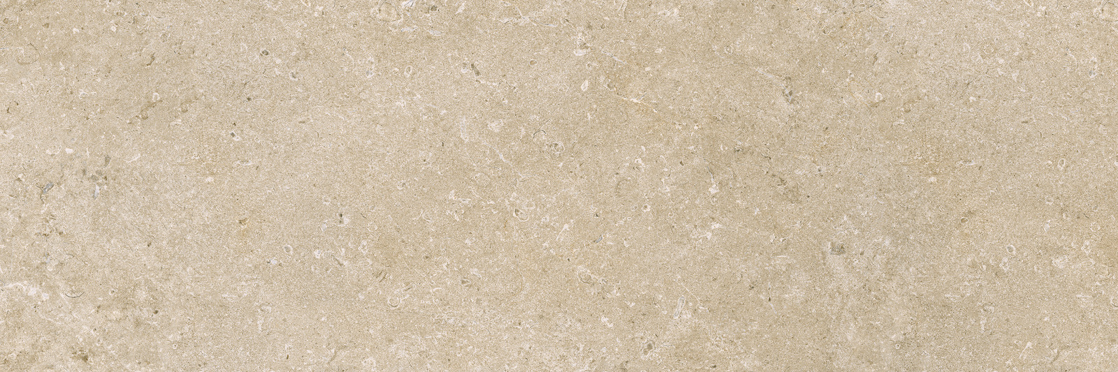 Carácter – M94Z 60.00x30.00cm-main-image