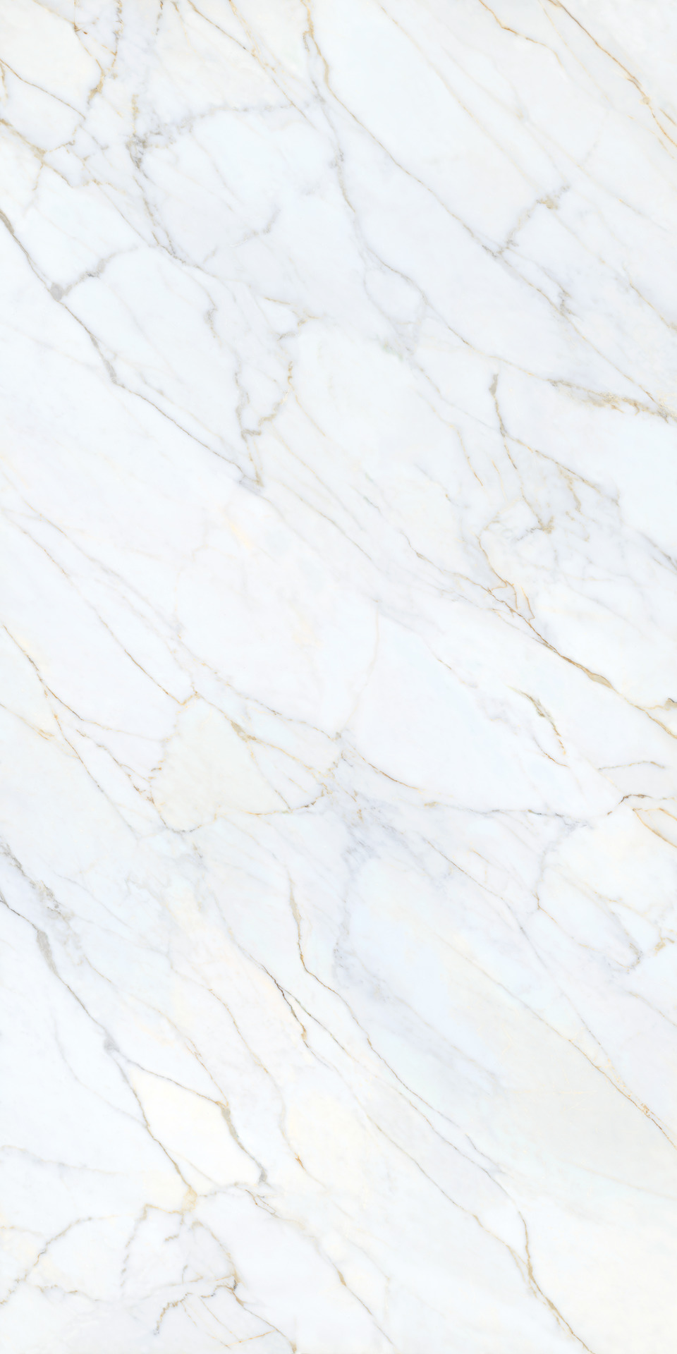 Grande Marble Look – MPGD 278.00x120.00cm-main-image